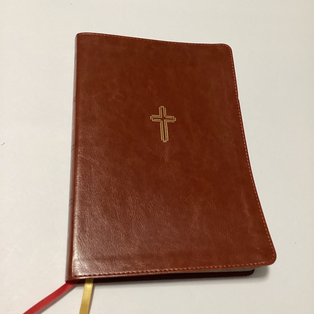 New American Standard Bible